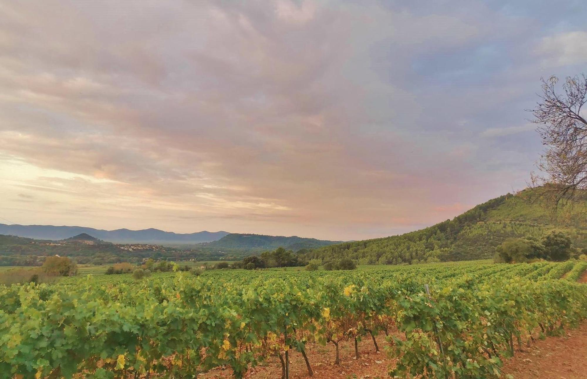 Le Nid En Chante Vue Panoramique Les Arcs-sur-Argens Экстерьер фото